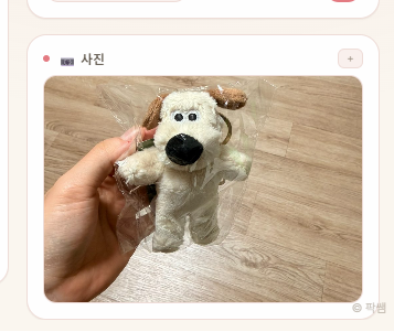 사진 액자 패널